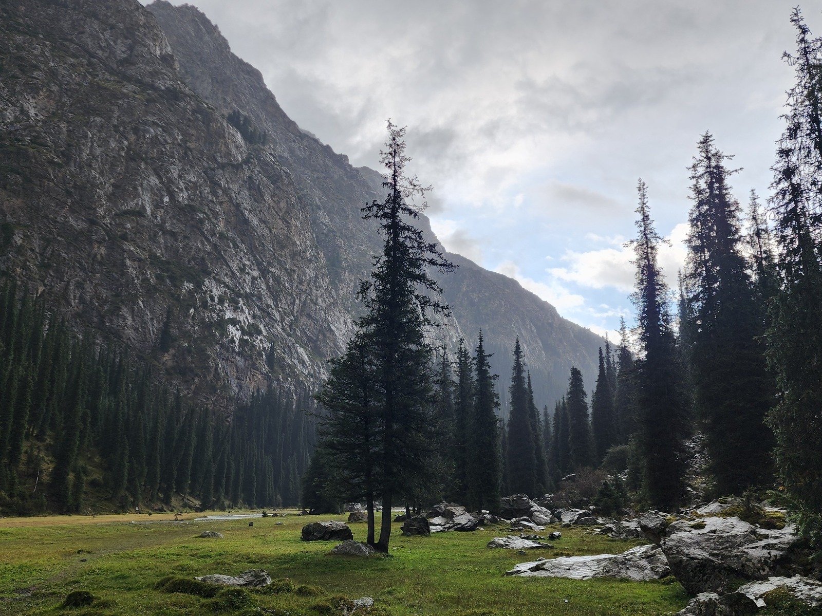 Hiker in the lush meadows of the Djeti-Oguz Valley.