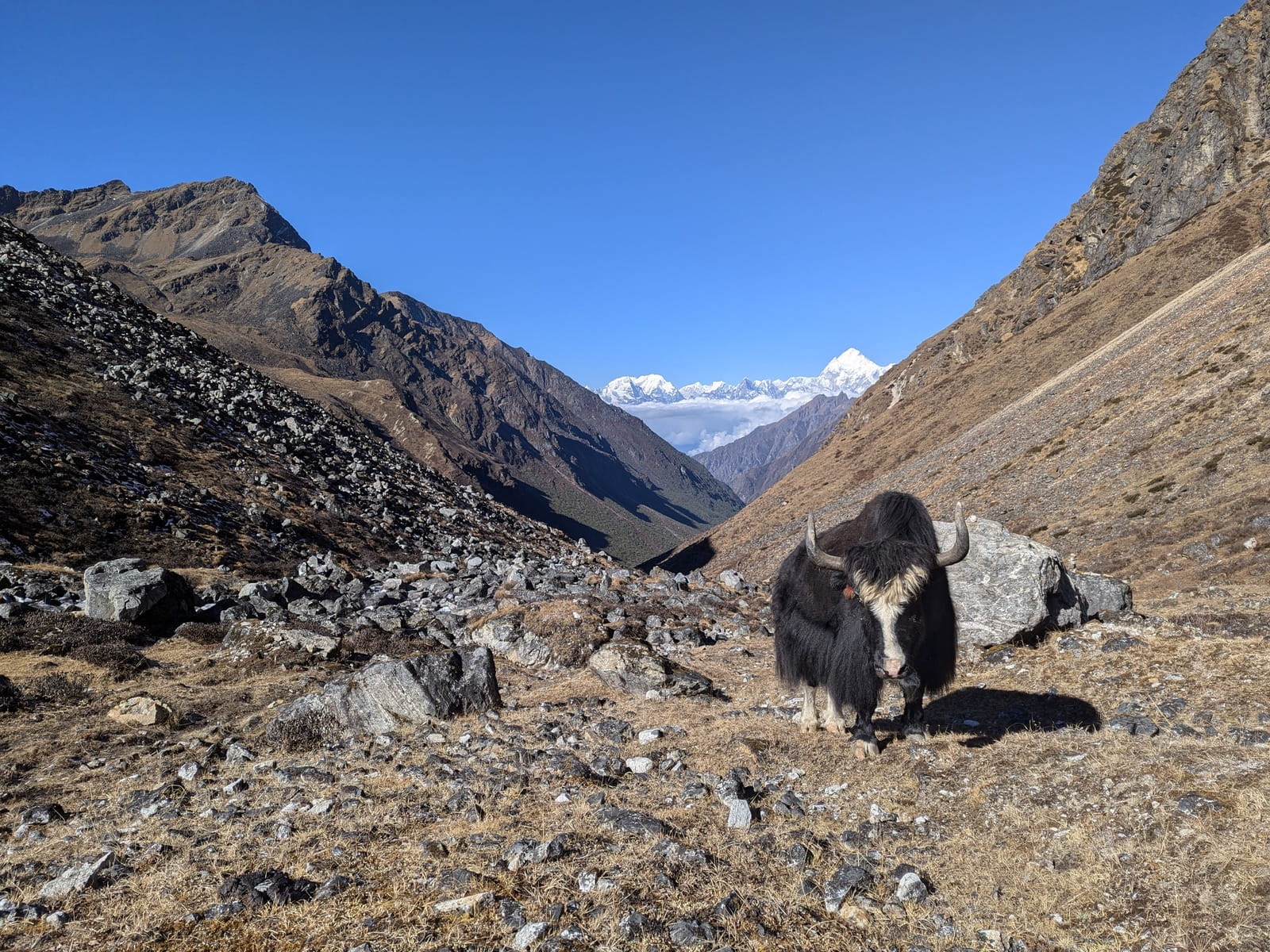 Pamir Circuit