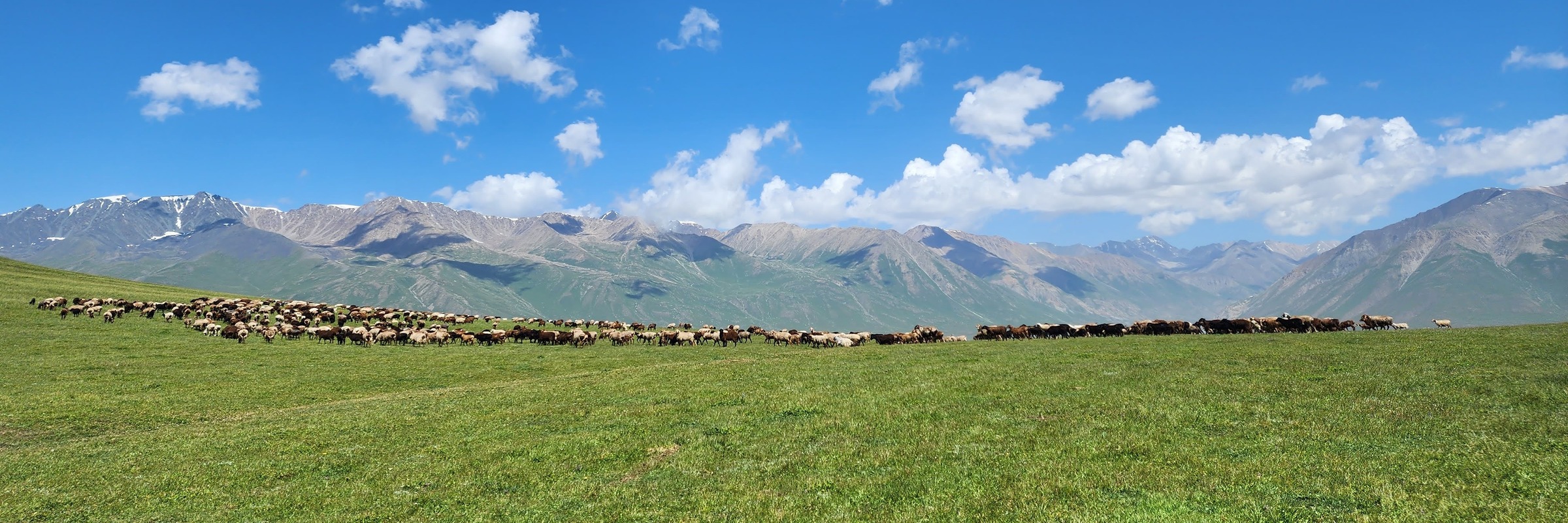 Rolling green hills and snow-capped peaks of the Naryn Interior
