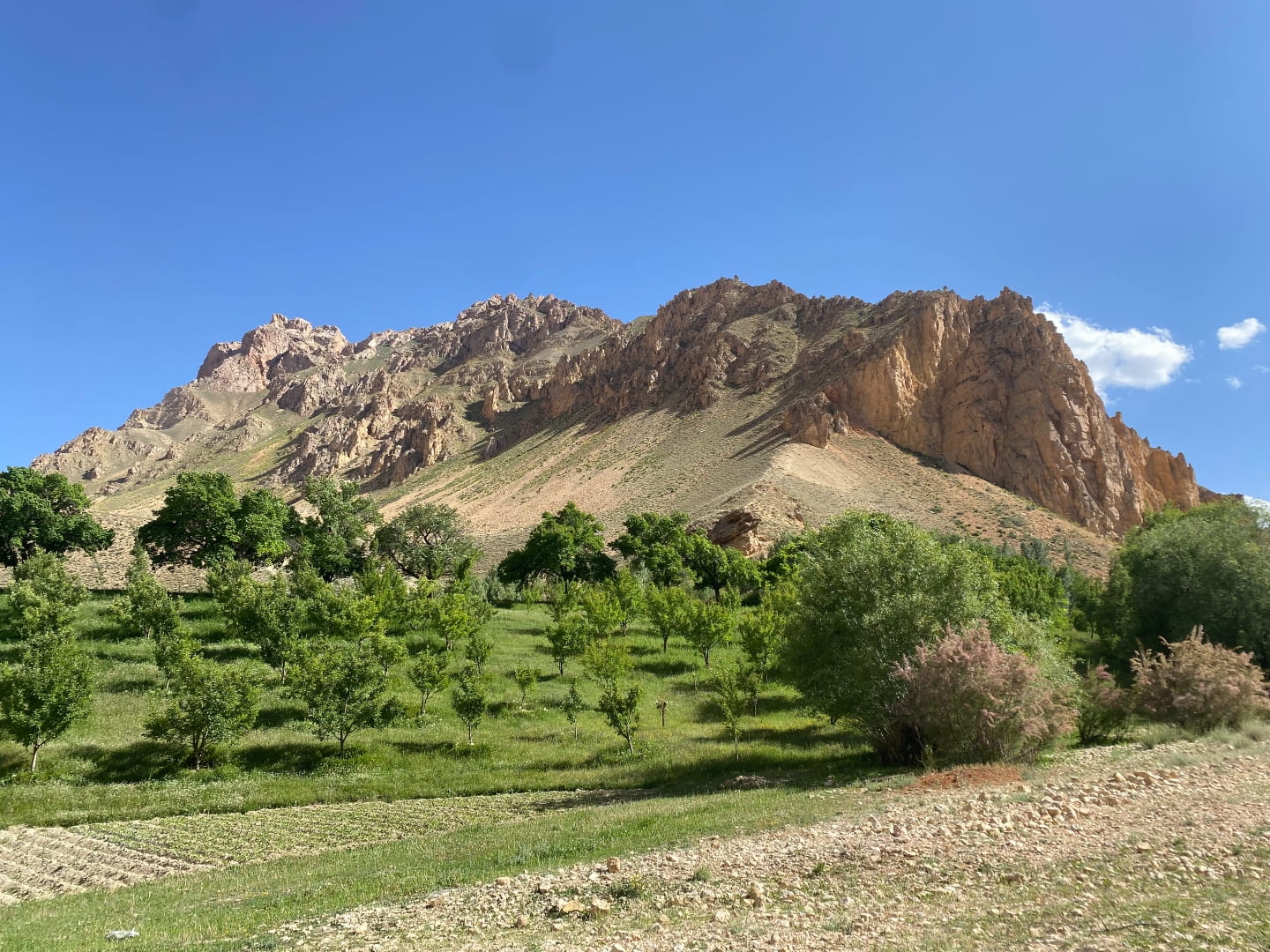 Afghanistan Photo 12