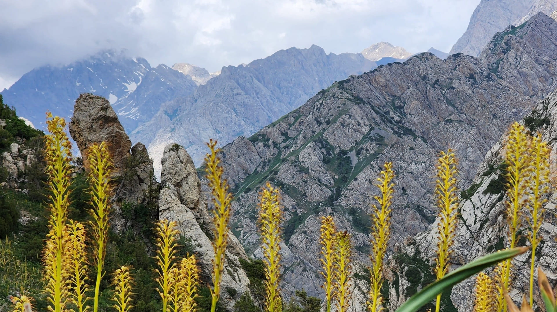 Mountain Pass