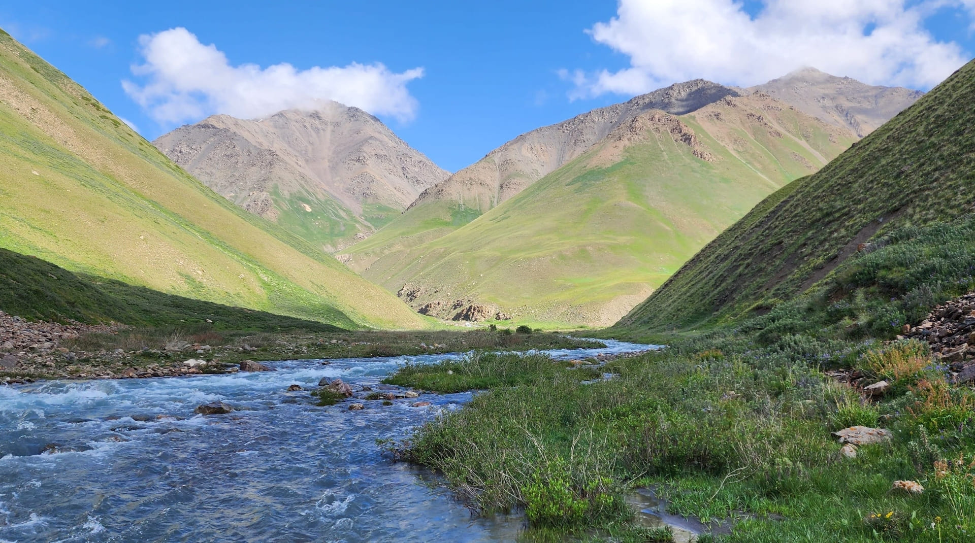 Naryn Skies