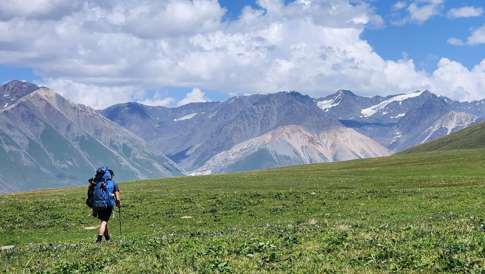 High Pastures