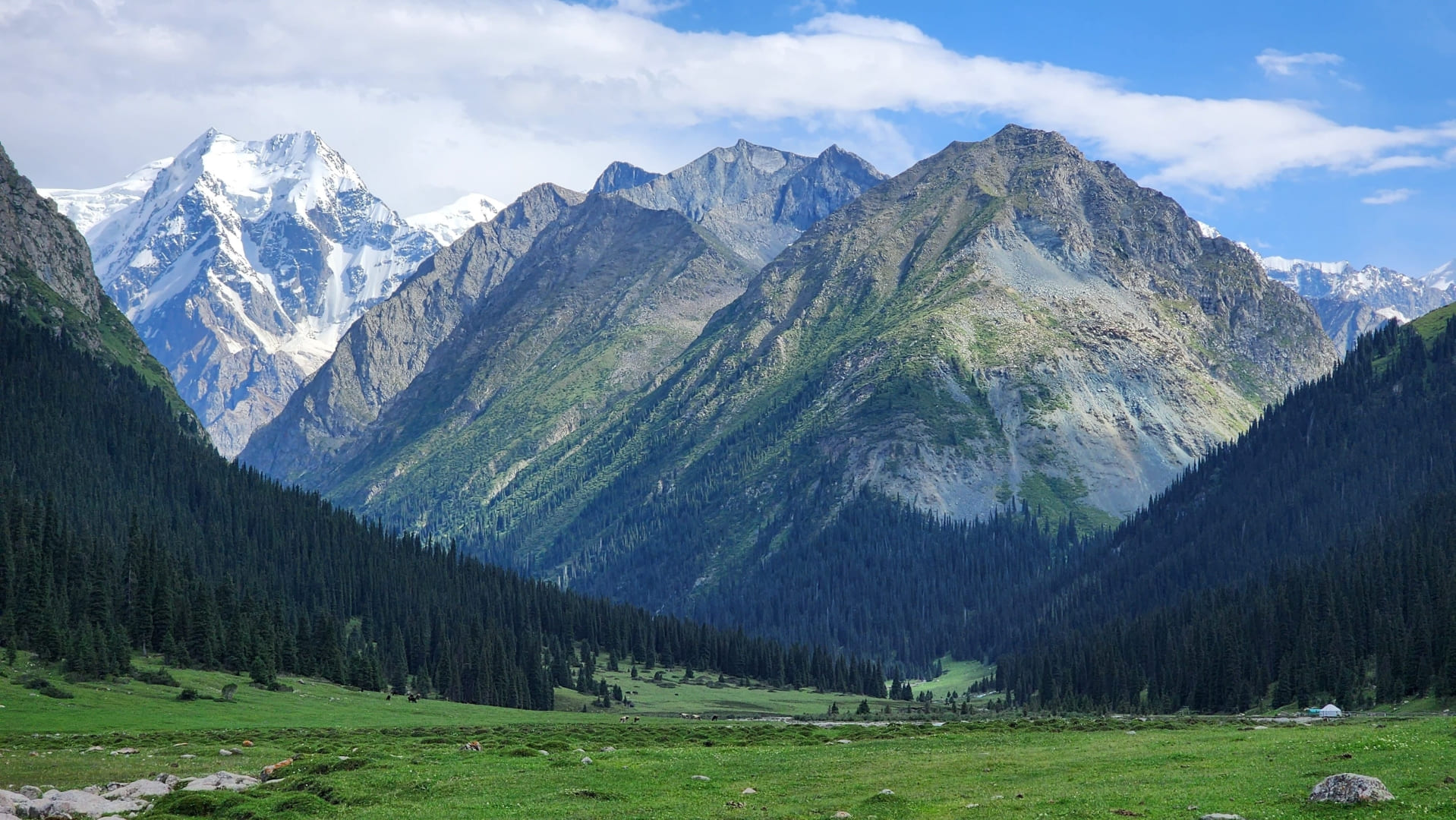 Alpine Landscapes