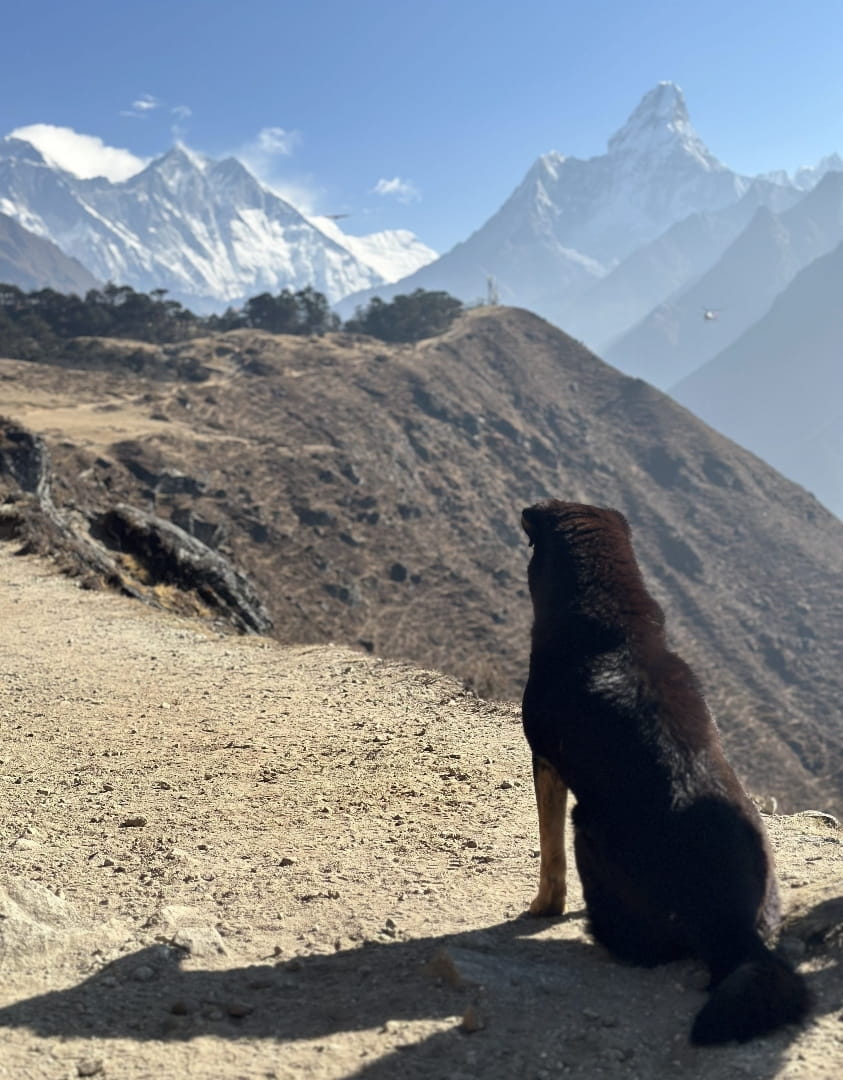 Everest 12