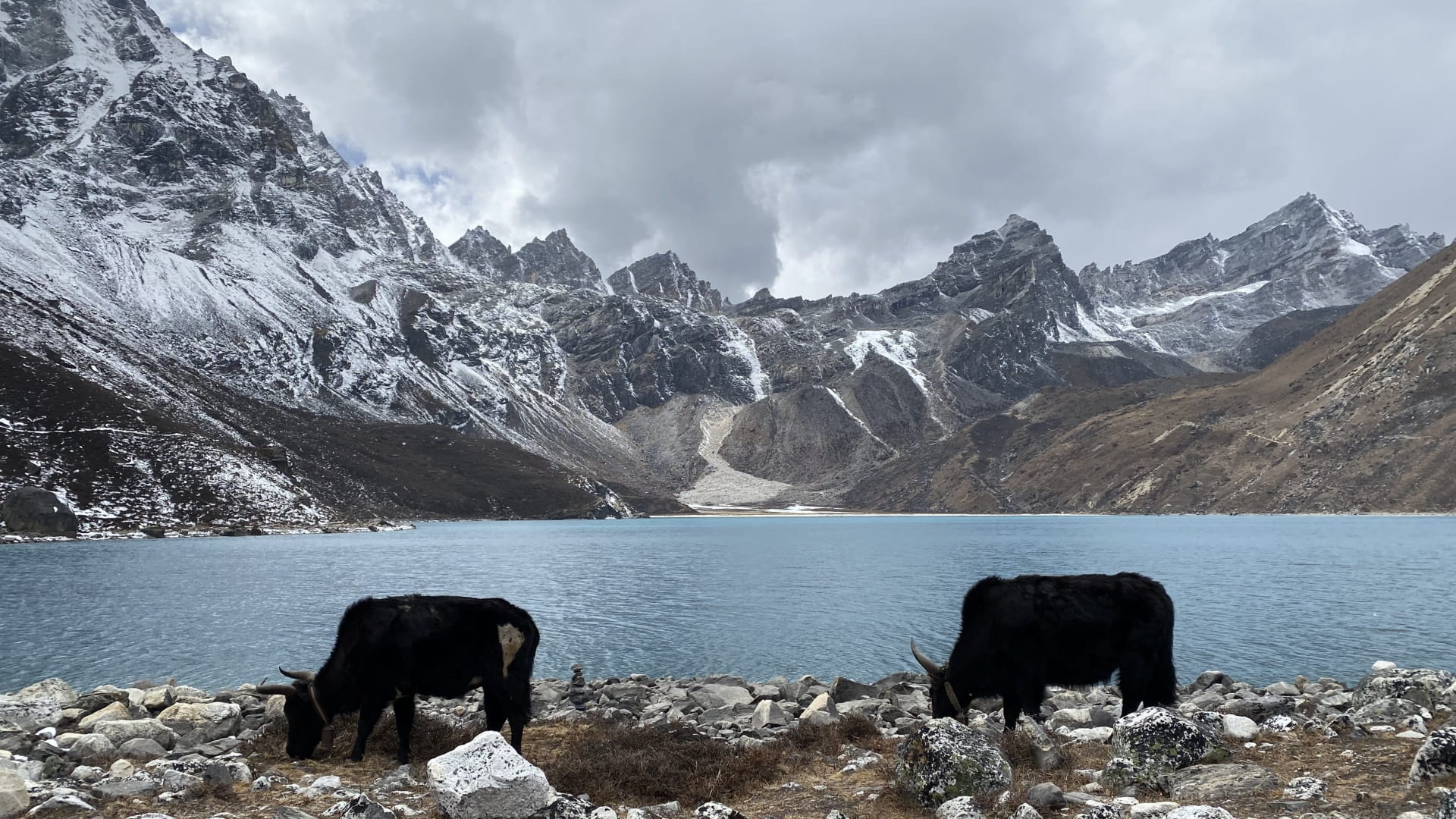 Everest 13