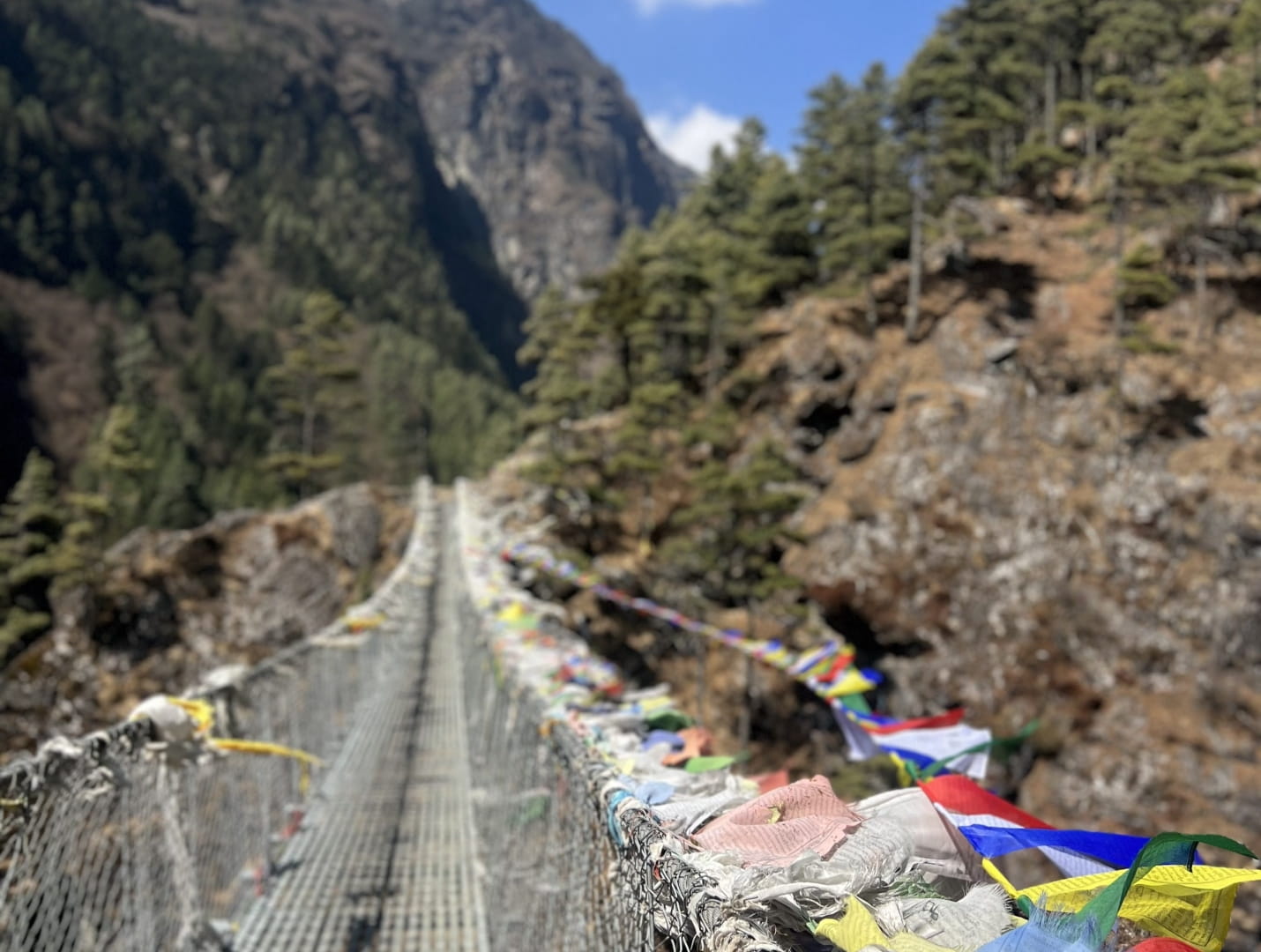 Everest 14