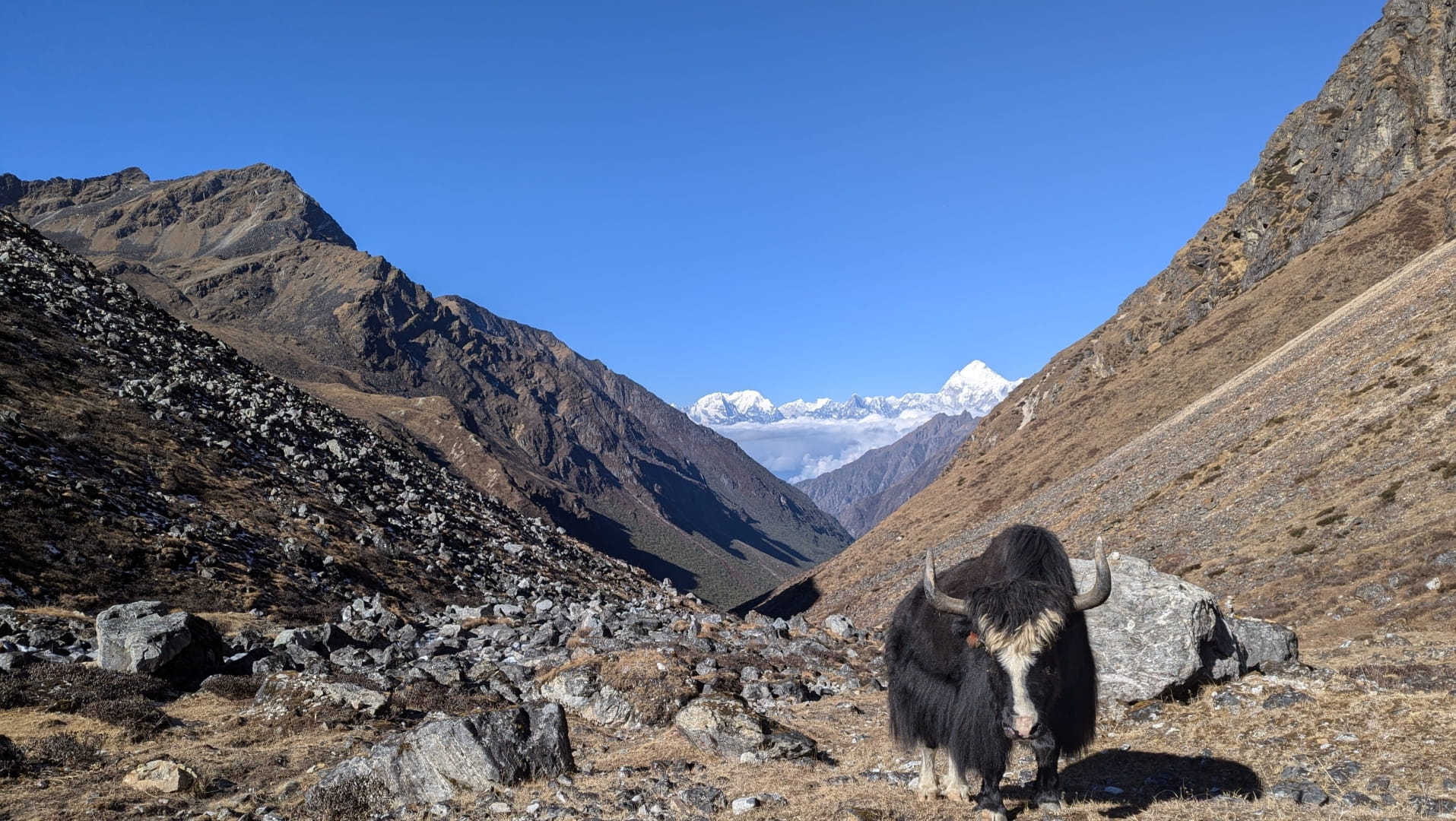 Kanchenjunga 15