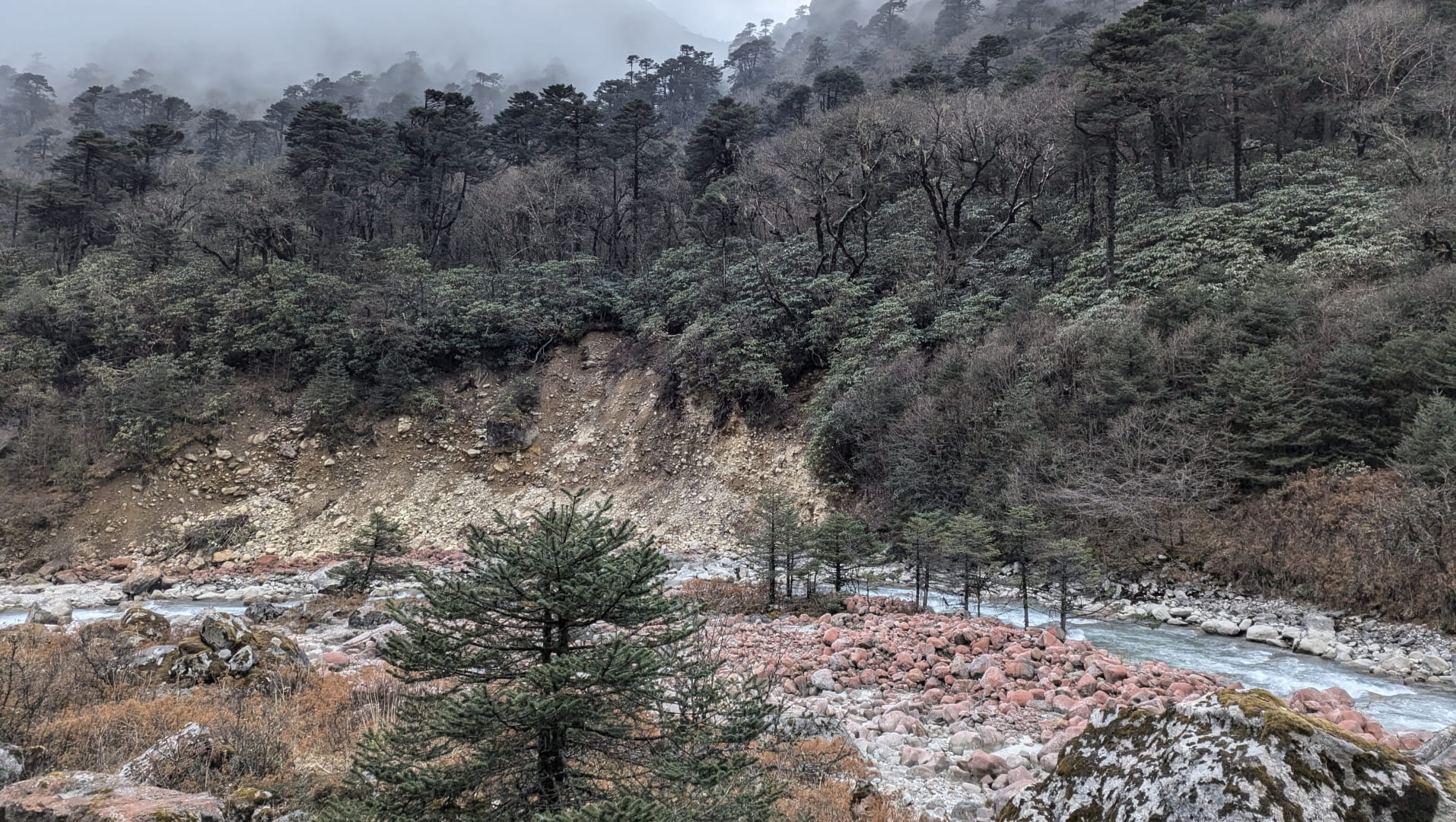 Kanchenjunga 17