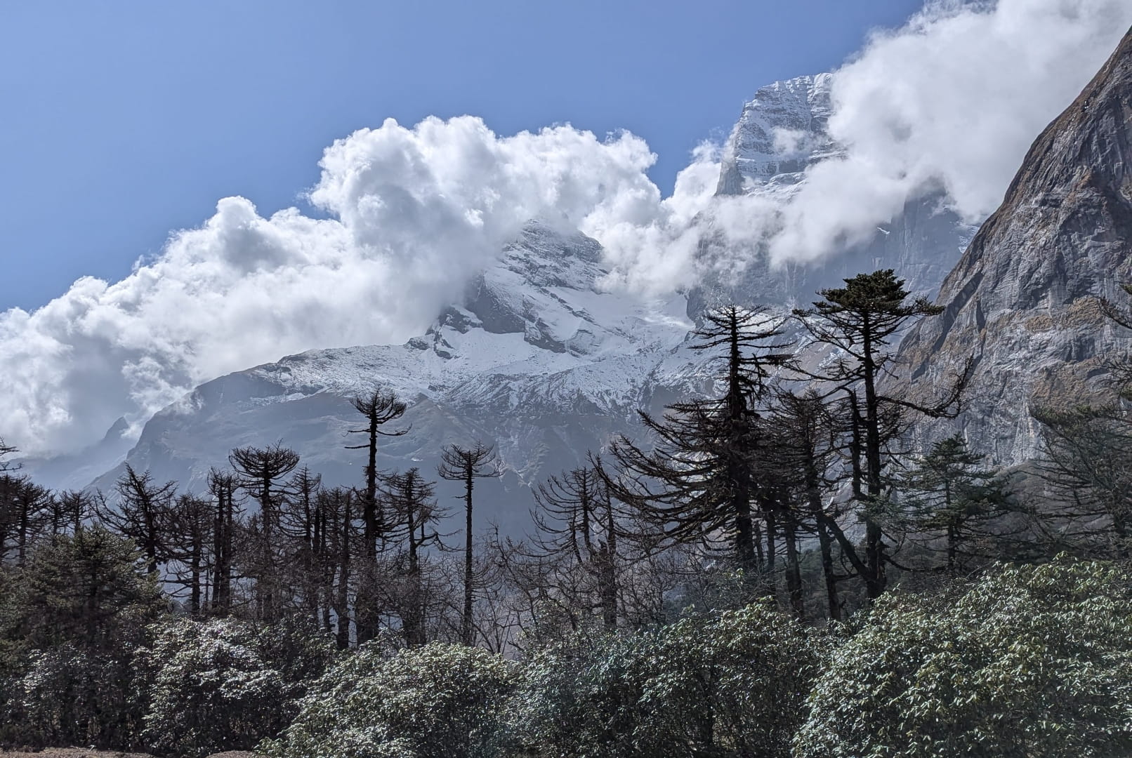 Makalu 12