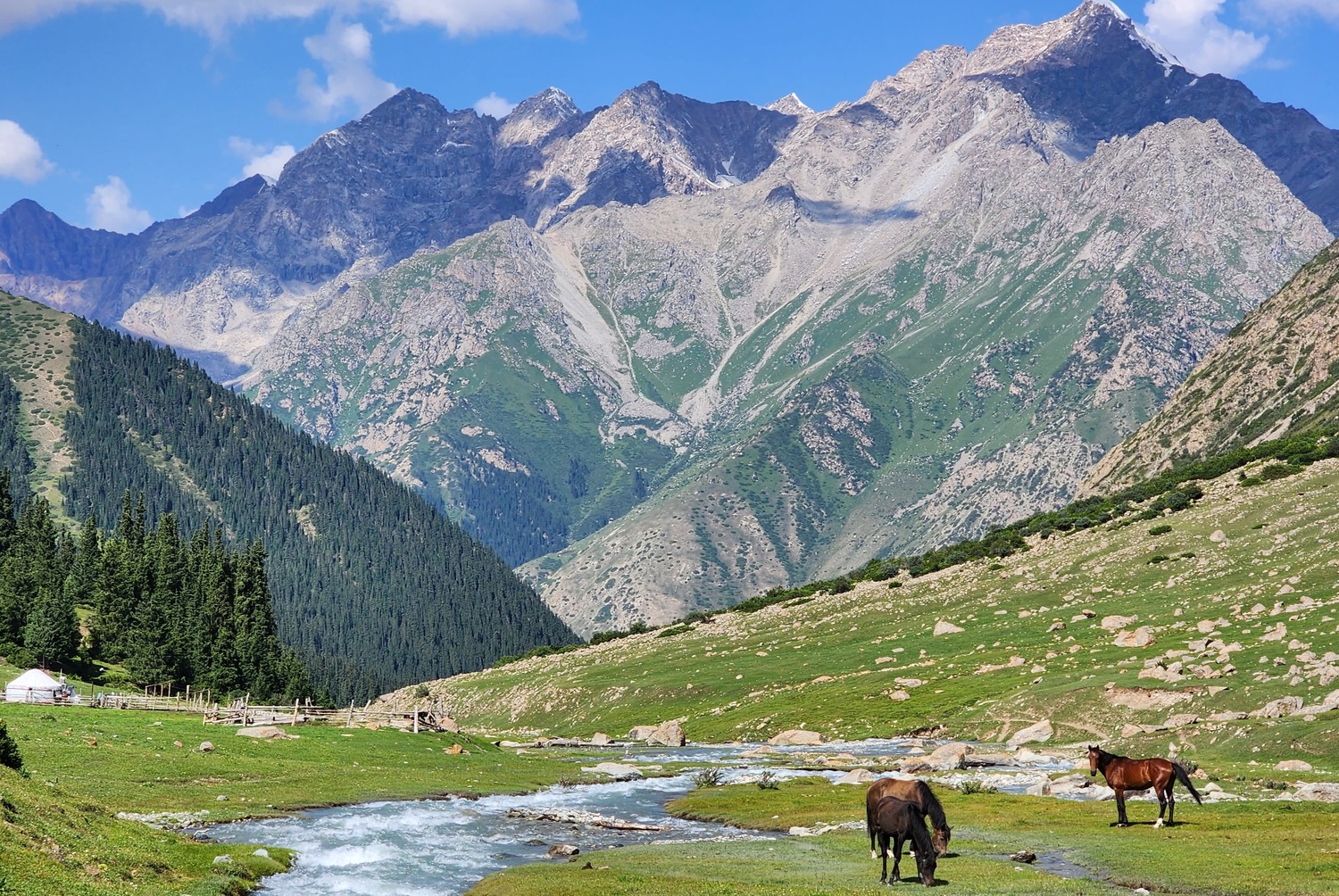 Horse roaming in a green alpine valley in the Terskey Ala-Too Mountains.