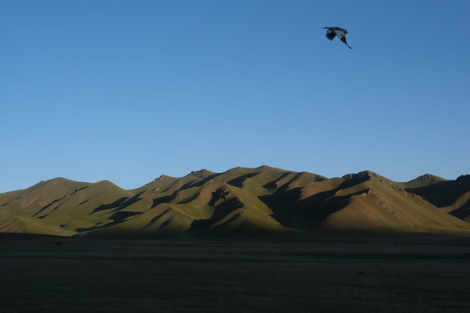 Morning light in Kok-Kiya Valley