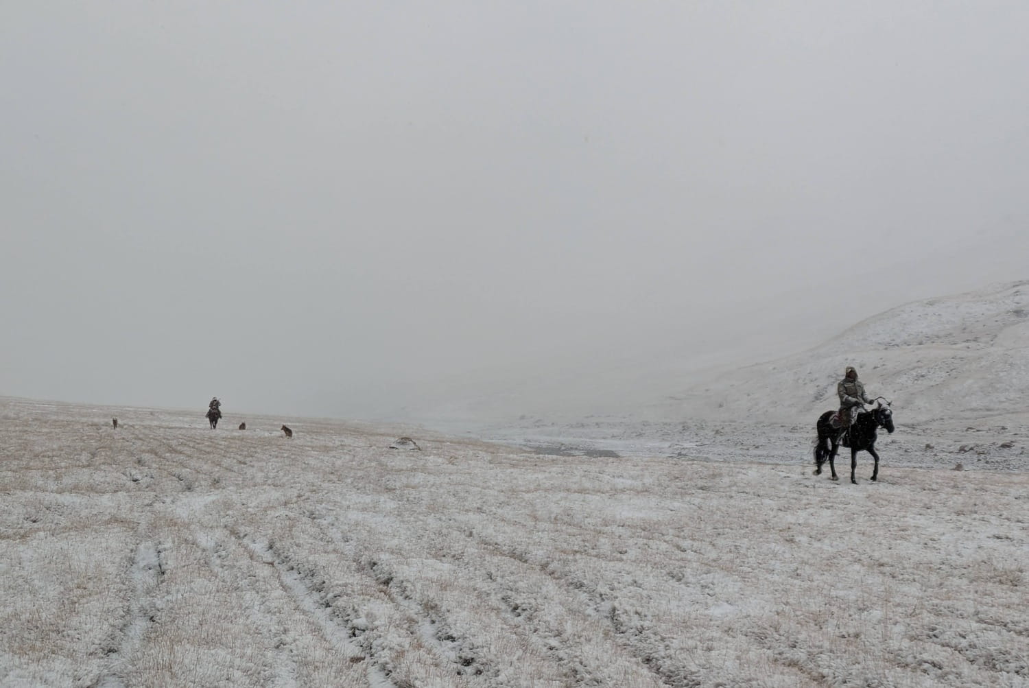 Crossing paths with a group of nomads on route to camp