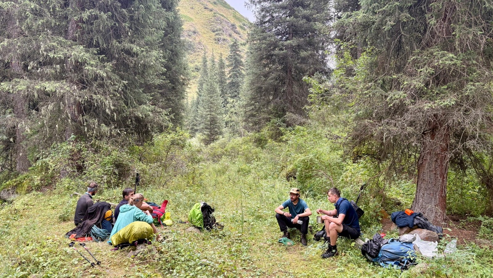 Trekkers resting in a dense spruce forest in Kazakhstan