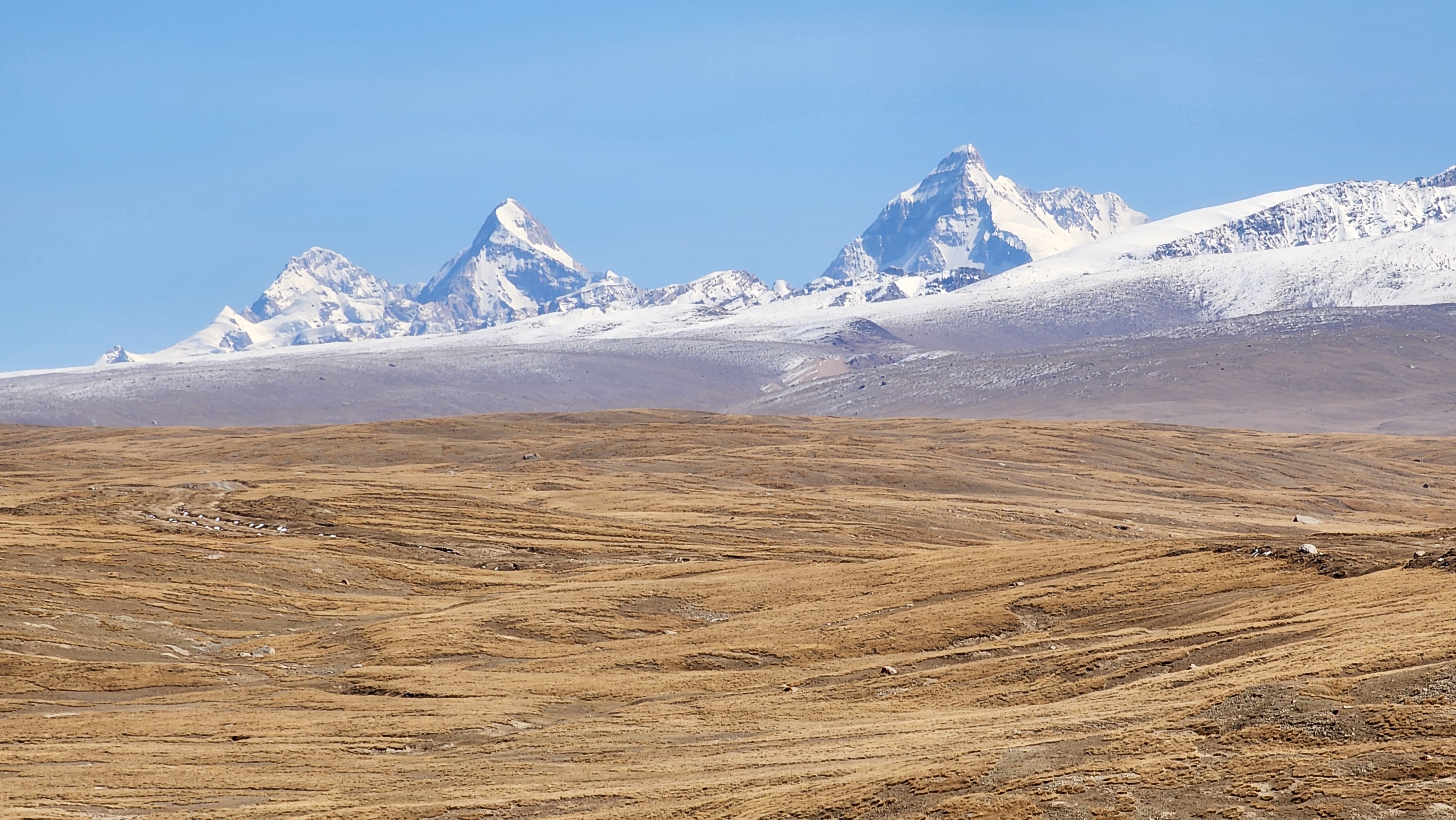 Dankova and Kosmos Peaks