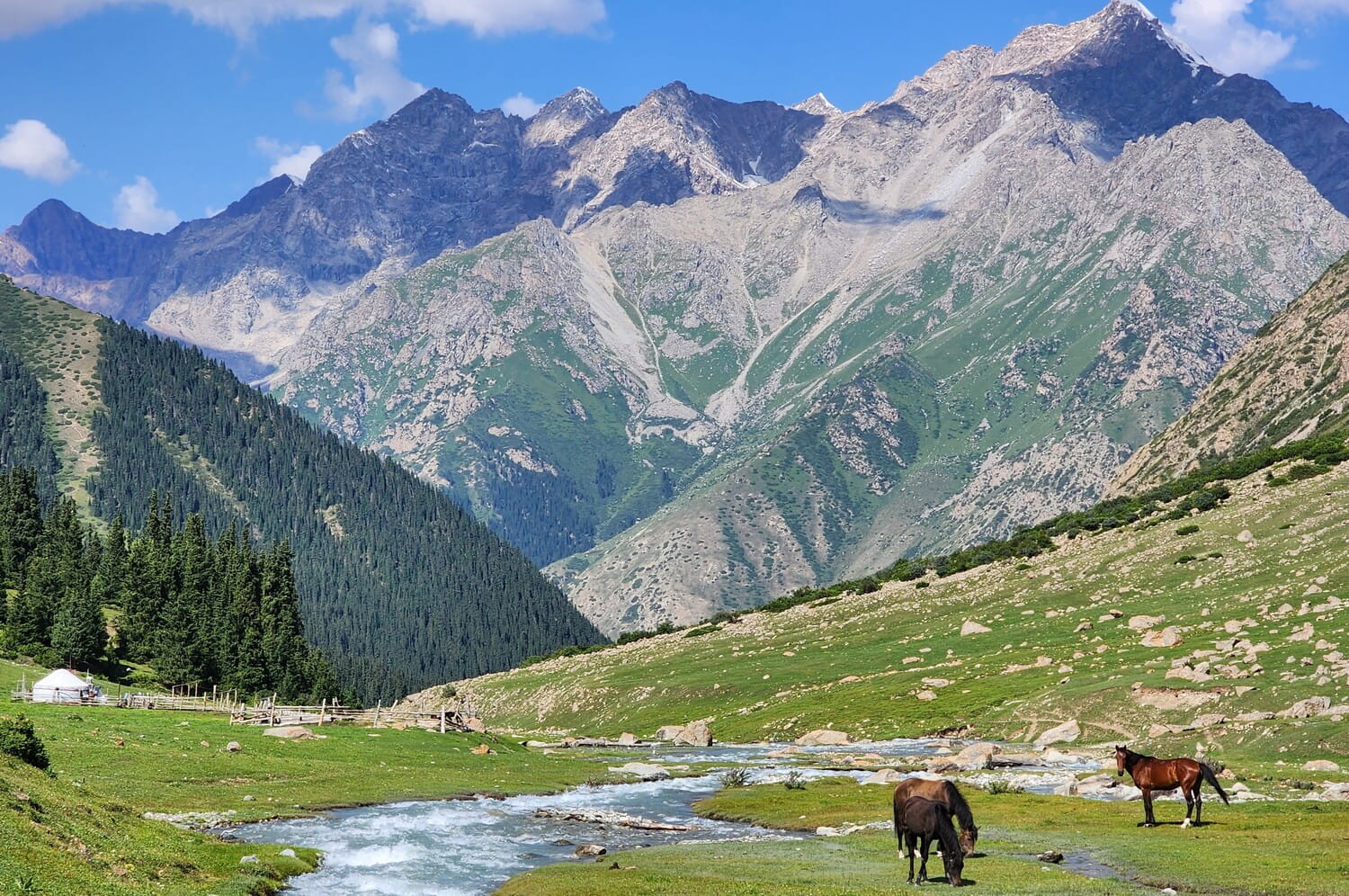 A typical, spruce forested valley in Northern Kyrgyzstan