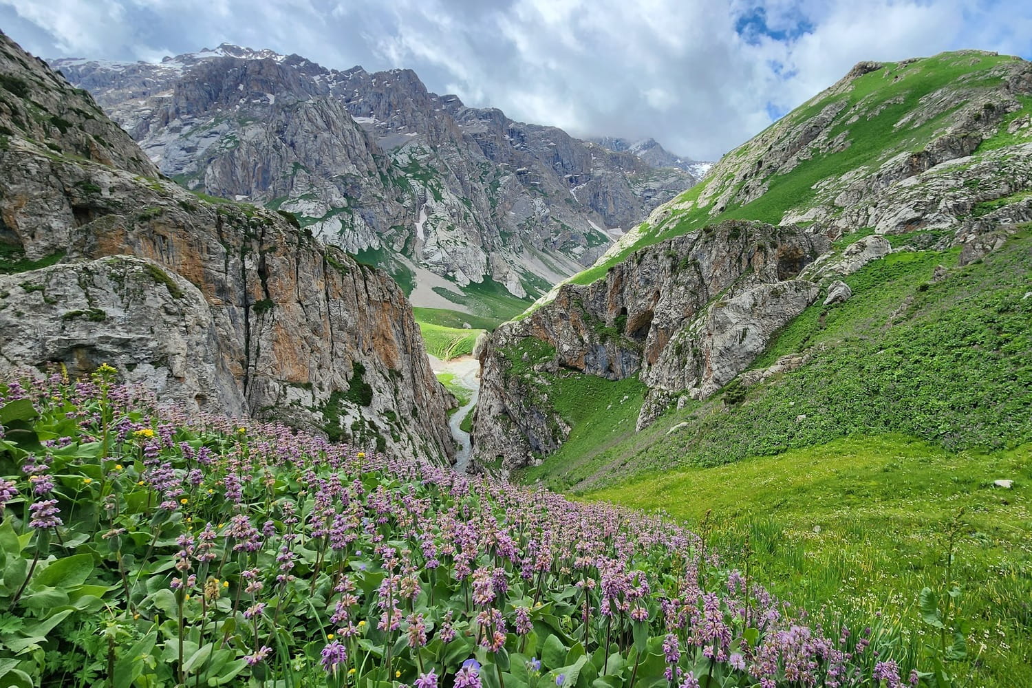 Verdant, green landscaped of the Fergana Range, Early June